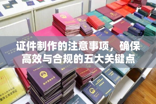 乌恰证件制作的注意事项，确保高效与合规的五大关键点